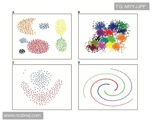 成都攀岩队节奏表现数据分析揭示训练效果与提升空间