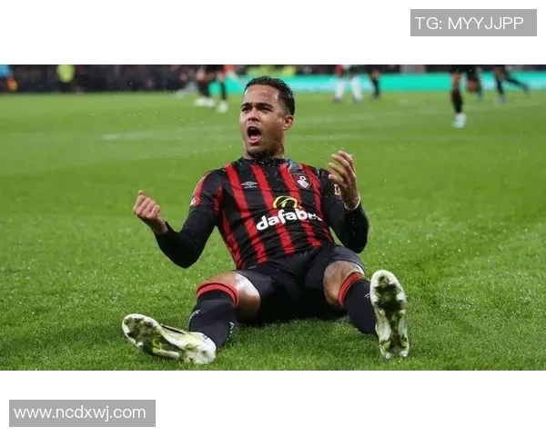 伯恩茅斯主场迎战客队全力争胜展现球队实力与斗志 伯恩茅斯主场迎战客队全力争胜展现球队实力与斗志